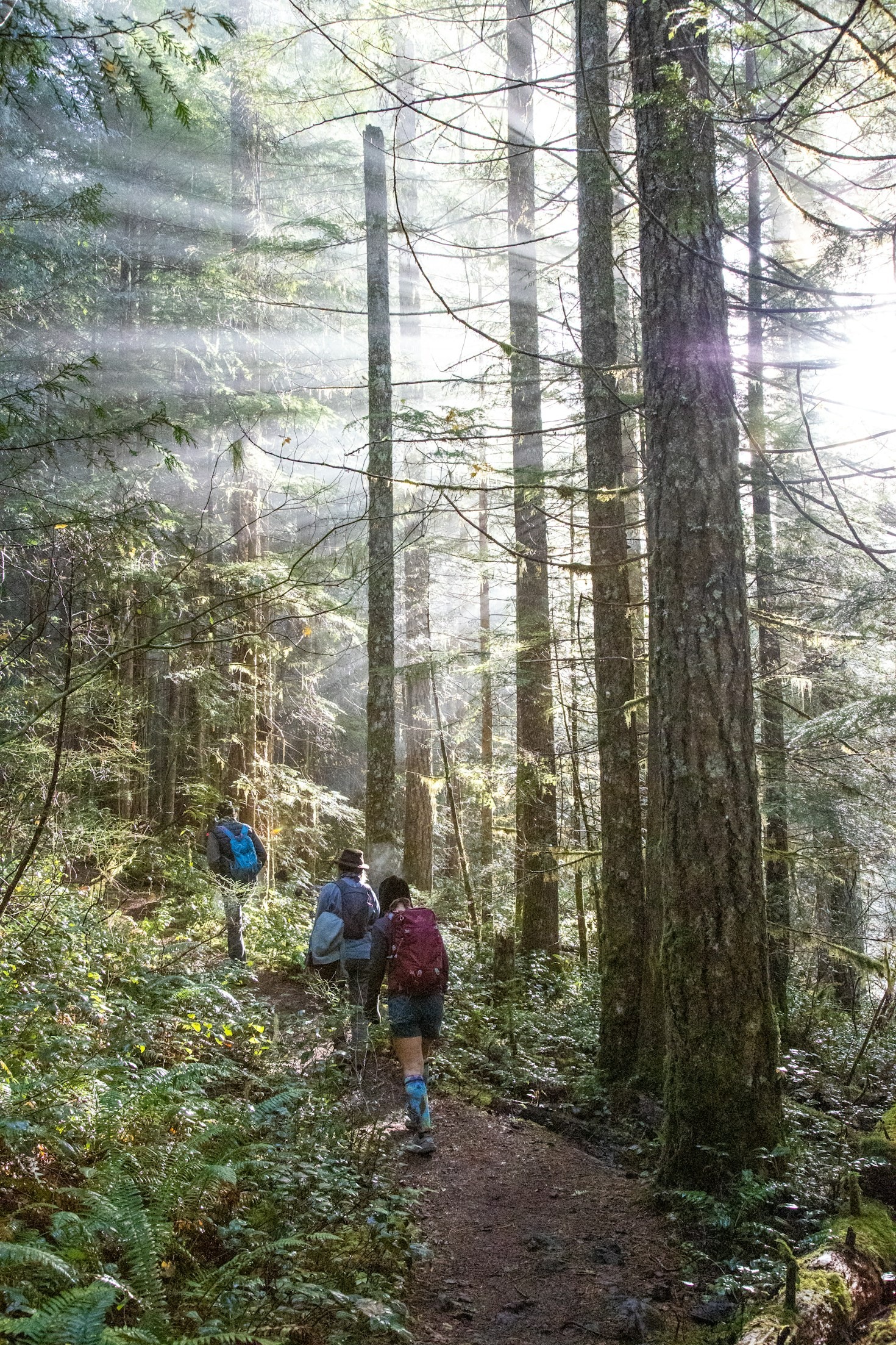 Exploring Nature: A Beginner’s Guide to Camping